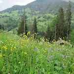 Casa vacanze Authentisches Schweizer Alpenchalet Aus Dem 18- Jh- By Interhome La Forclaz