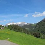 Casa vacanze Authentisches Schweizer Alpenchalet Aus Dem 18- Jh- By Interhome La Forclaz