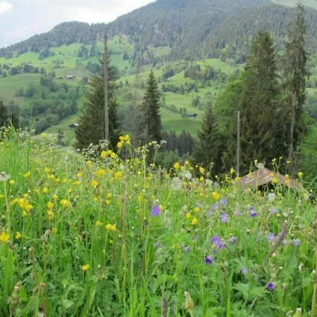 Holiday home Authentisches Schweizer Alpenchalet Aus Dem 18- Jh- By Interhome La Forclaz