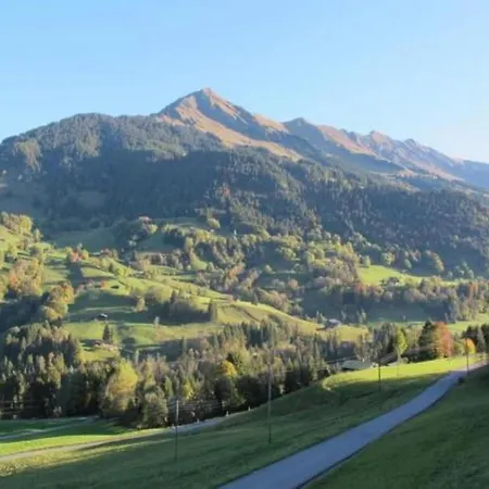 Authentisches Schweizer Alpenchalet Aus Dem 18- Jh- By Interhome Holiday home *