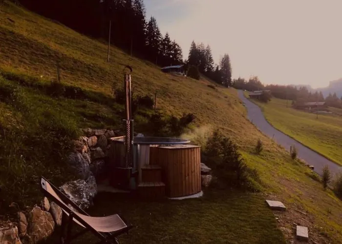 Authentisches Schweizer Alpenchalet Aus Dem 18- Jh- By Interhome La Forclaz