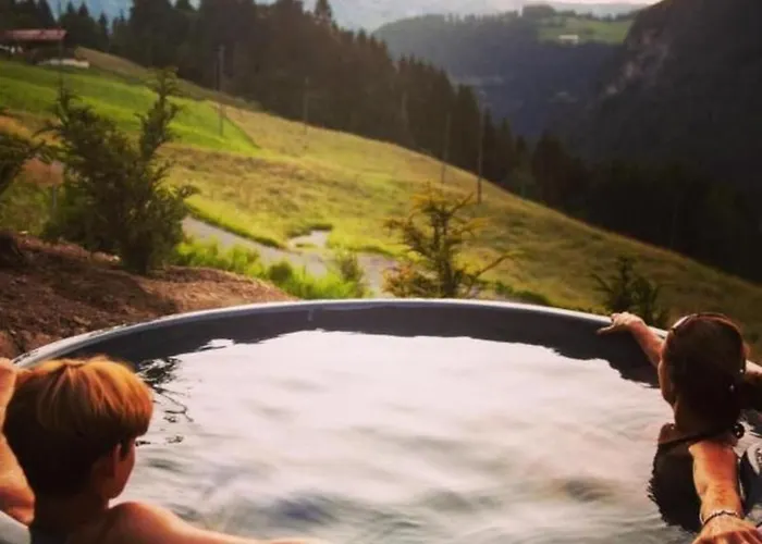 Hébergement de vacances Authentisches Schweizer Alpenchalet Aus Dem 18- Jh- By Interhome *