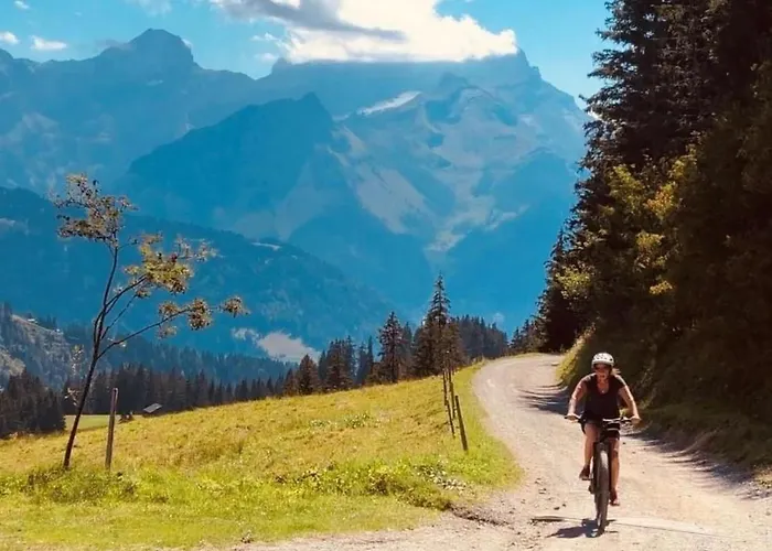 Authentisches Schweizer Alpenchalet Aus Dem 18- Jh- By Interhome La Forclaz