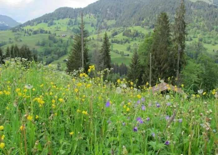 Hébergement de vacances Authentisches Schweizer Alpenchalet Aus Dem 18- Jh- By Interhome La Forclaz