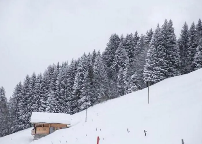 Hébergement de vacances Authentisches Schweizer Alpenchalet Aus Dem 18- Jh- By Interhome La Forclaz