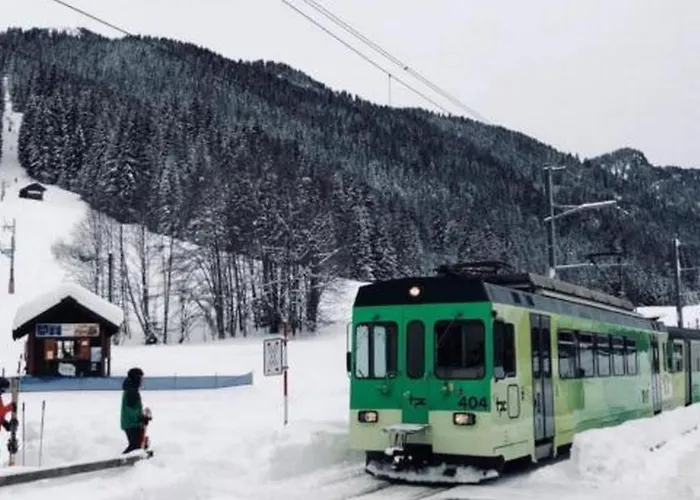 Authentisches Schweizer Alpenchalet Aus Dem 18- Jh- By Interhome