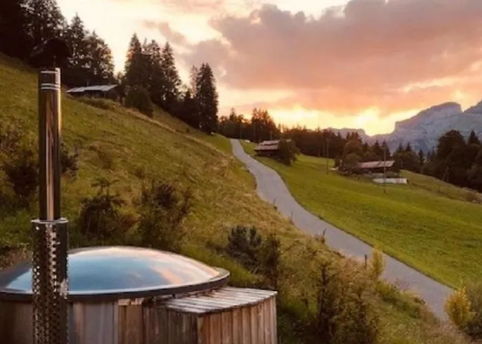 Hébergement de vacances Authentisches Schweizer Alpenchalet Aus Dem 18- Jh- By Interhome