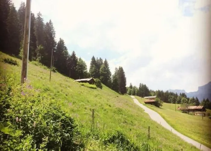 Authentisches Schweizer Alpenchalet Aus Dem 18- Jh- By Interhome *