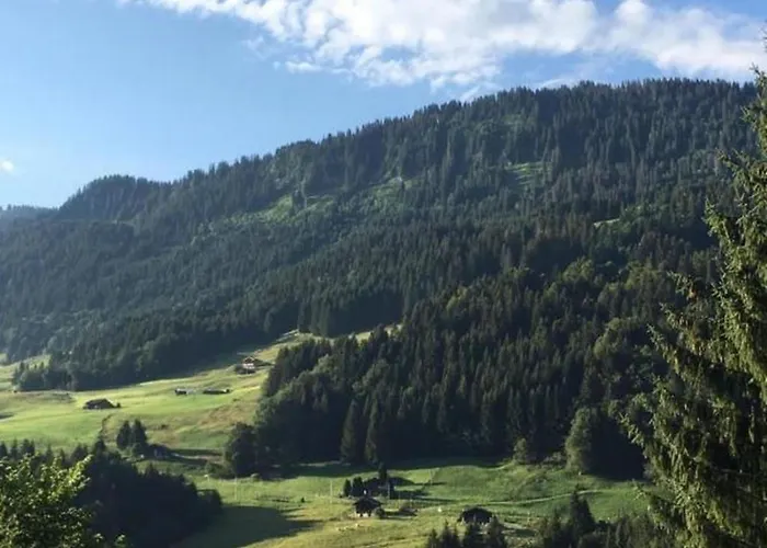 Authentisches Schweizer Alpenchalet Aus Dem 18- Jh- By Interhome Hébergement de vacances *