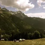 펜션 Authentisches Schweizer Alpenchalet Aus Dem 18- Jh- By Interhome *