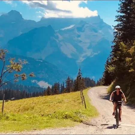 Authentisches Schweizer Alpenchalet Aus Dem 18- Jh- By Interhome La Forclaz